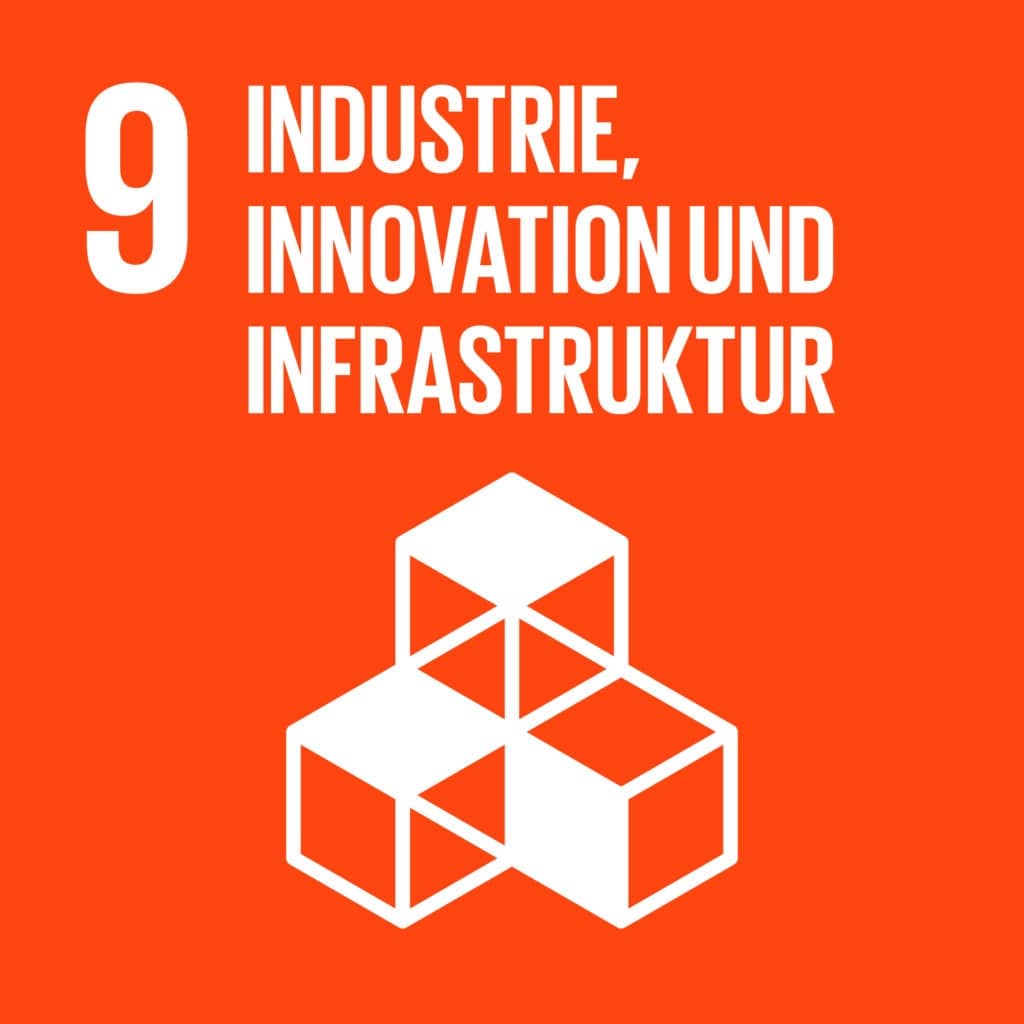 SDG 9 Logo